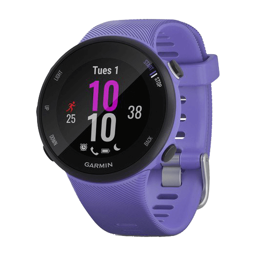 Garmin Forerunner® 45S