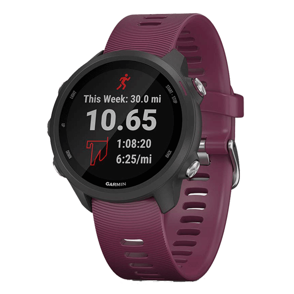 Garmin Forerunner 245 Music /images/products/GM0589.png